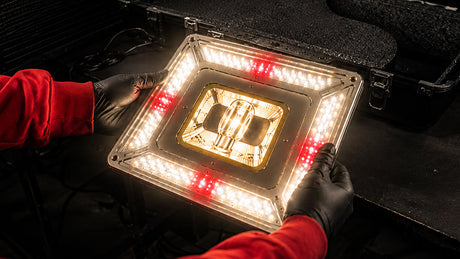 DAVE TALKS MATRIX HYBRID LIGHTS Bringing the Power of the Sun Indoors