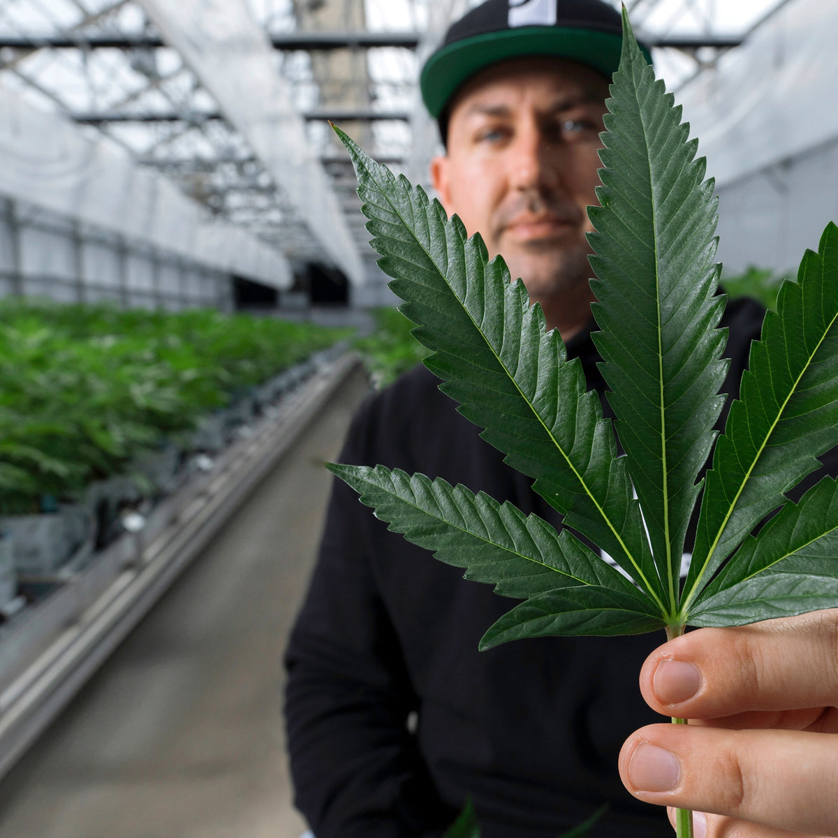Preferred Gardens founder David Polley inside an indoor cannabis grow
