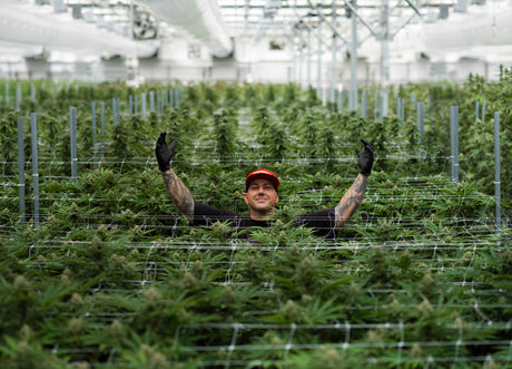 Preferred Gardens Wins the Biggest Prize in Cannabis Competition History
