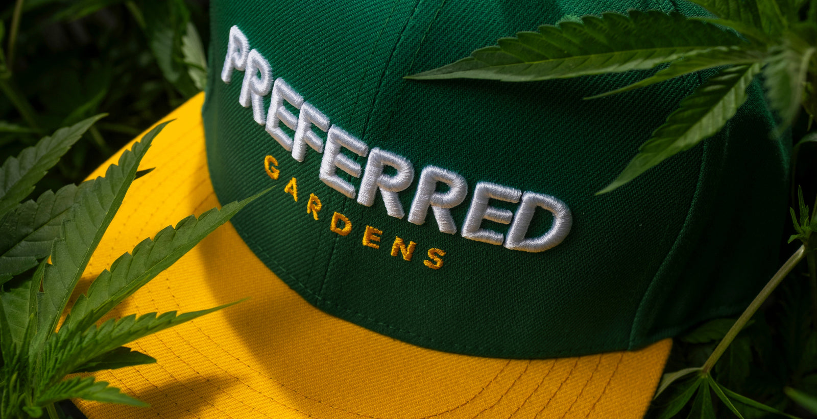 Colorway Header Snapbacks